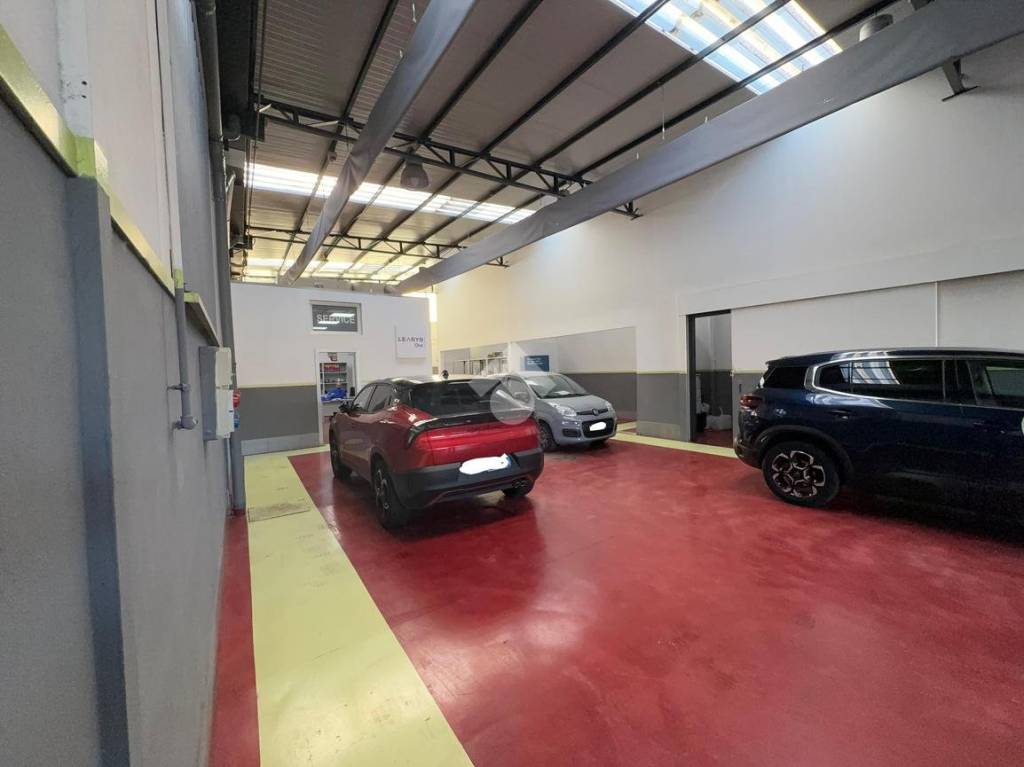 immagine annuncio 6 di 15