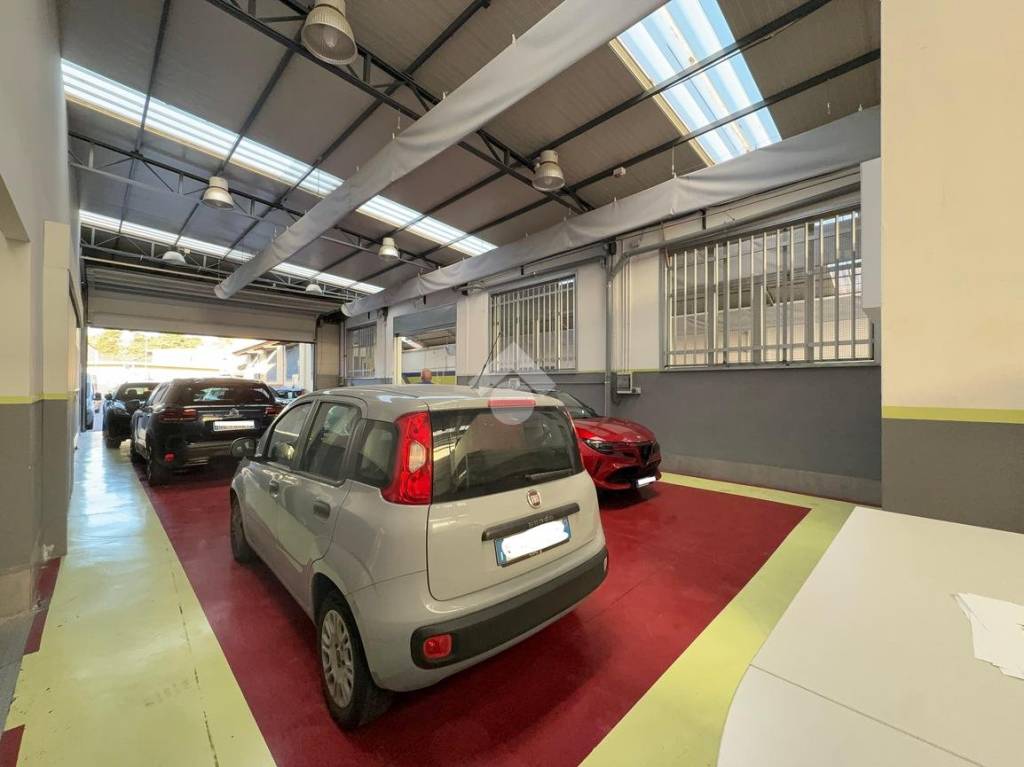 immagine annuncio 8 di 15