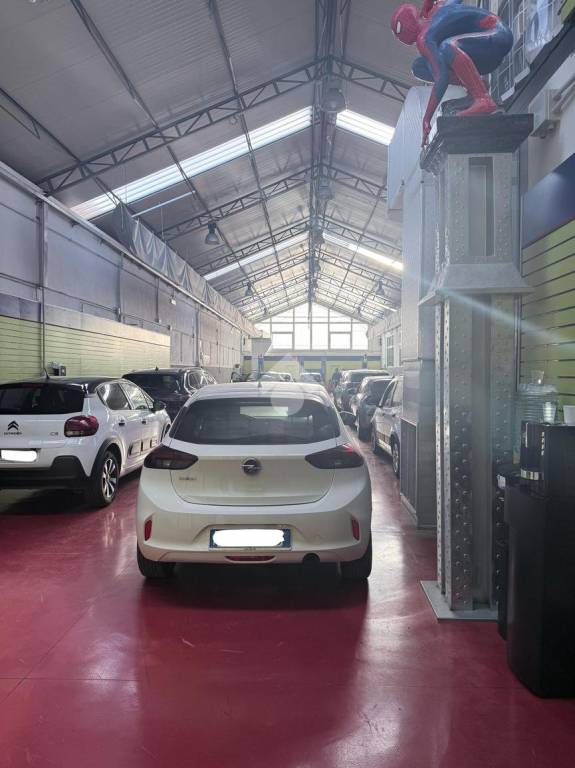 immagine annuncio 11 di 15