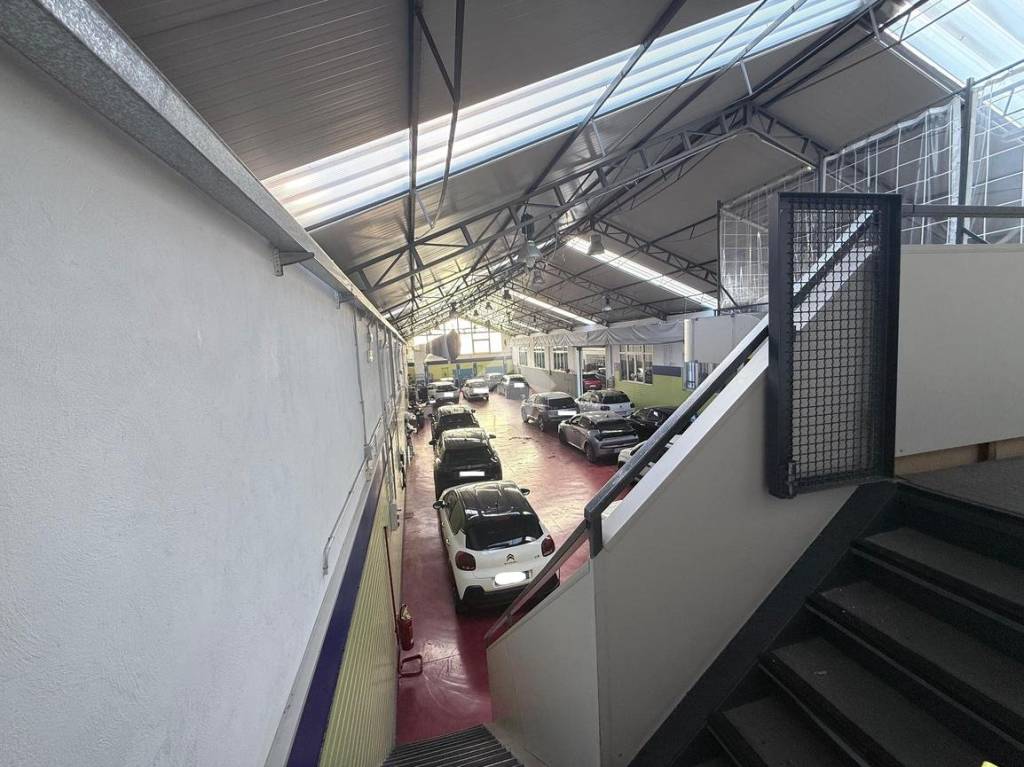 immagine annuncio 12 di 15