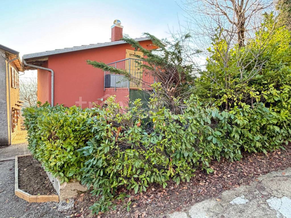 immagine annuncio 4 di 14