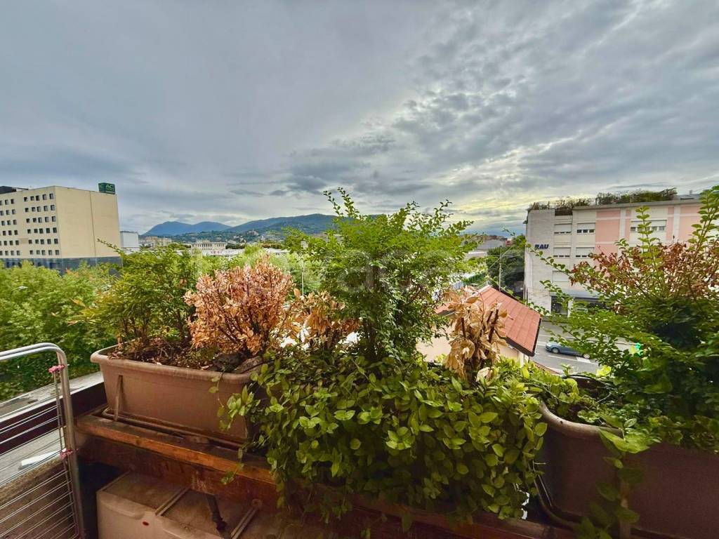 immagine annuncio 4 di 8