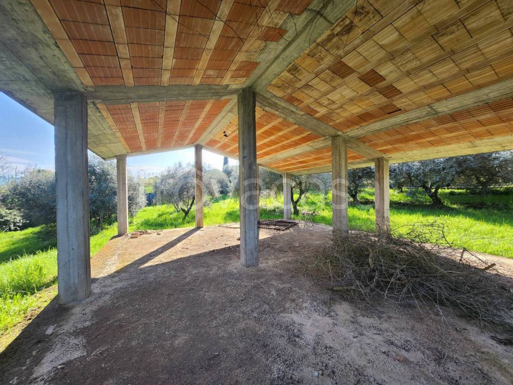 immagine annuncio 9 di 13