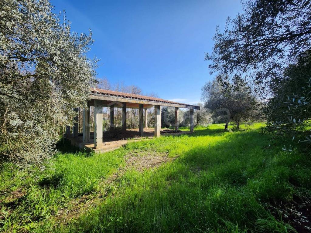 immagine annuncio 4 di 13