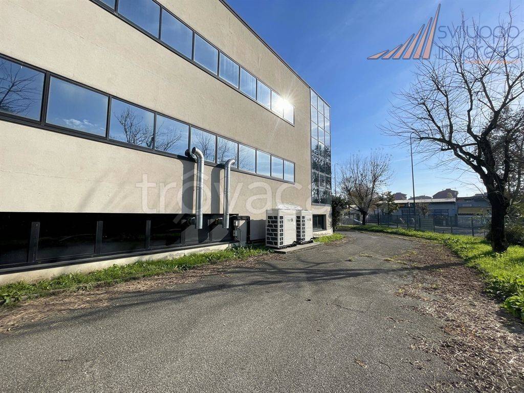 immagine annuncio 2 di 15