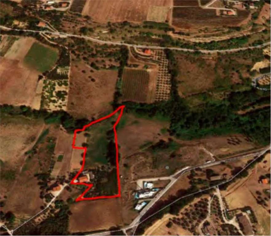 immagine annuncio 4 di 14