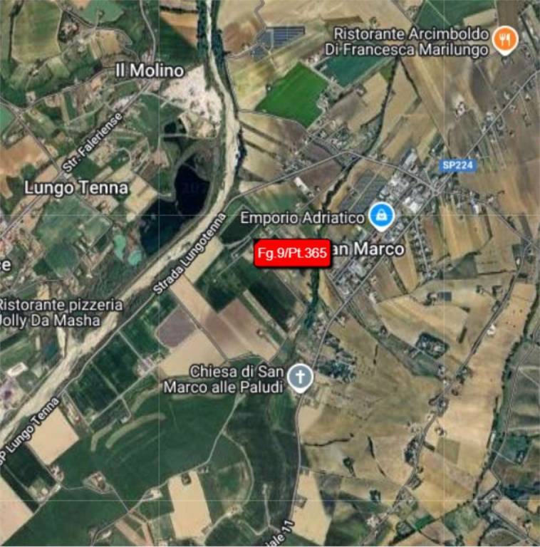 immagine annuncio 6 di 14