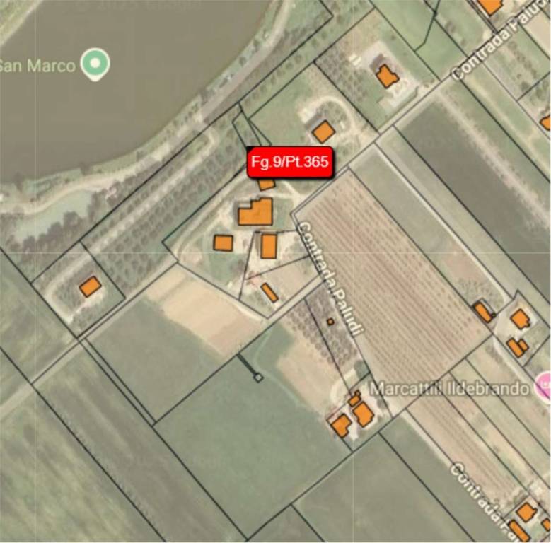 immagine annuncio 8 di 14