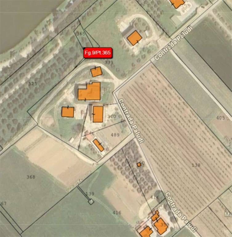 immagine annuncio 9 di 14