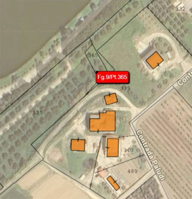 immagine annuncio 10 di 14