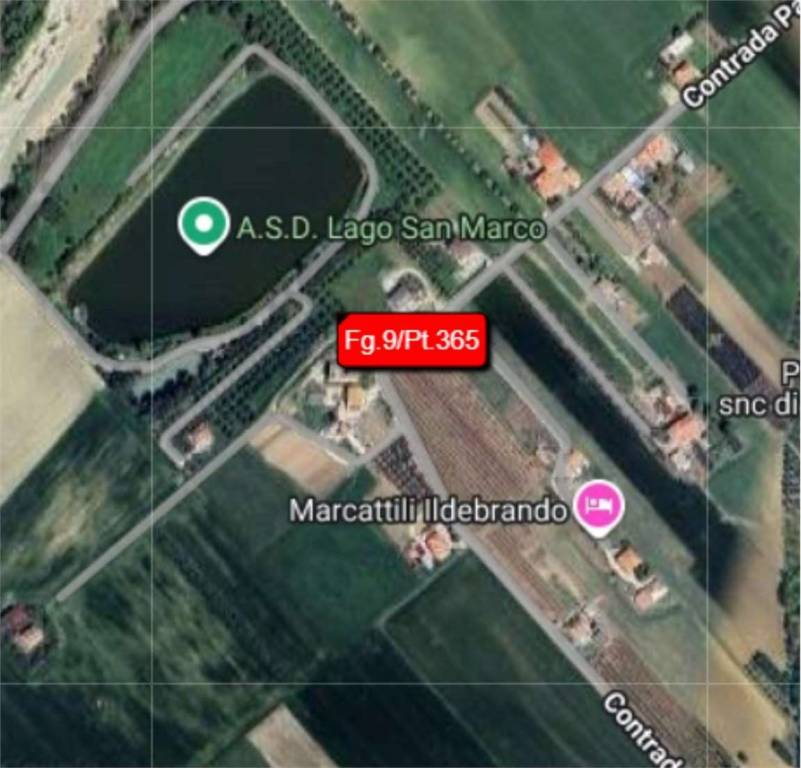 immagine annuncio 11 di 14