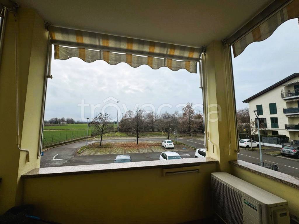 immagine annuncio 6 di 11