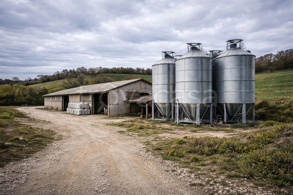 immagine annuncio 1 di 4