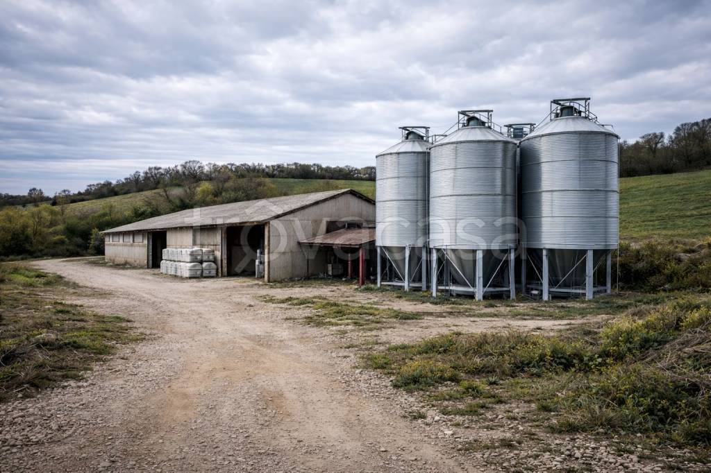 immagine annuncio 2 di 4