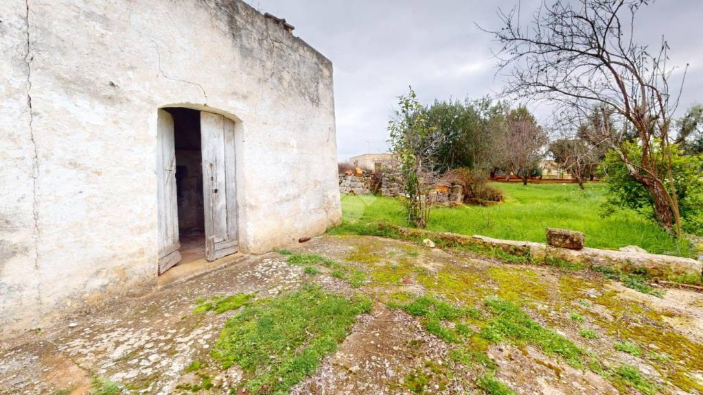 immagine annuncio 9 di 11