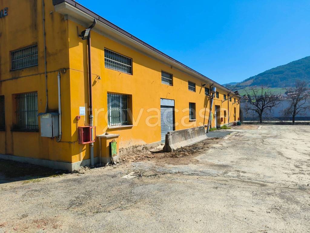 immagine annuncio 3 di 6