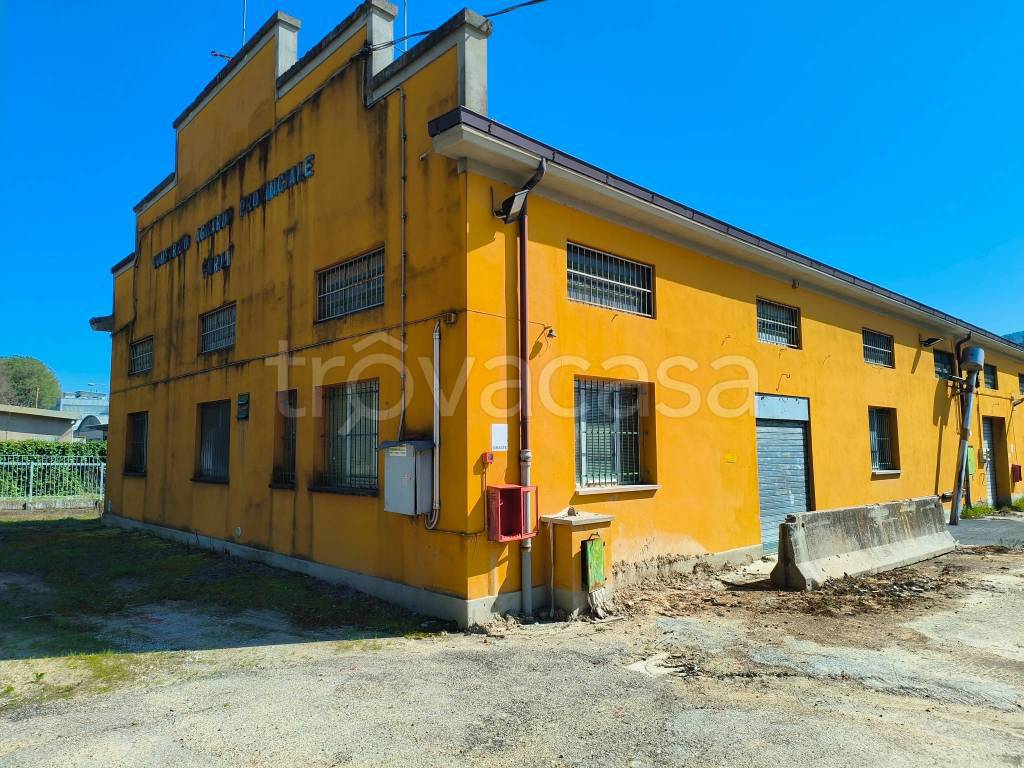 immagine annuncio 2 di 6