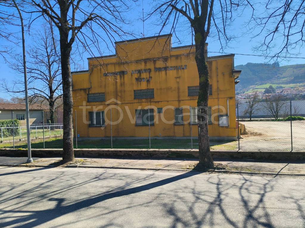 immagine annuncio 1 di 6