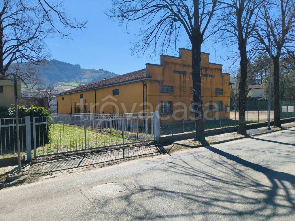 immagine annuncio 4 di 6