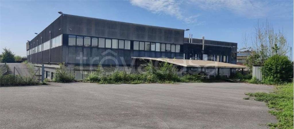 immagine annuncio 2 di 12