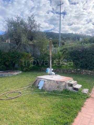 immagine annuncio 3 di 12