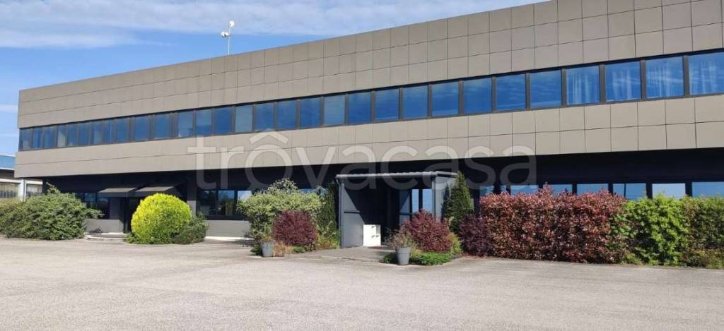 immagine annuncio 4 di 12