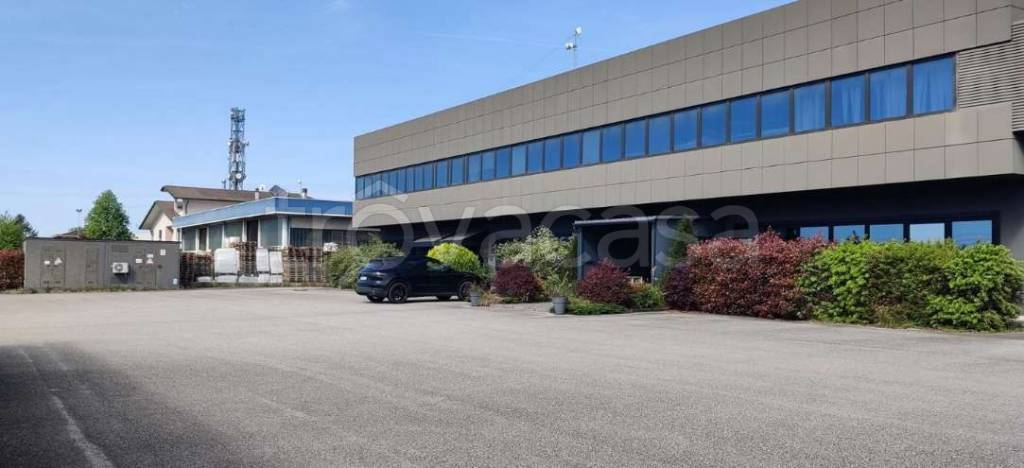 immagine annuncio 5 di 12