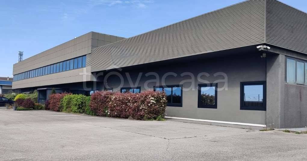 immagine annuncio 6 di 12