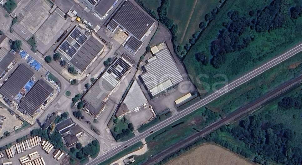 immagine annuncio 9 di 12