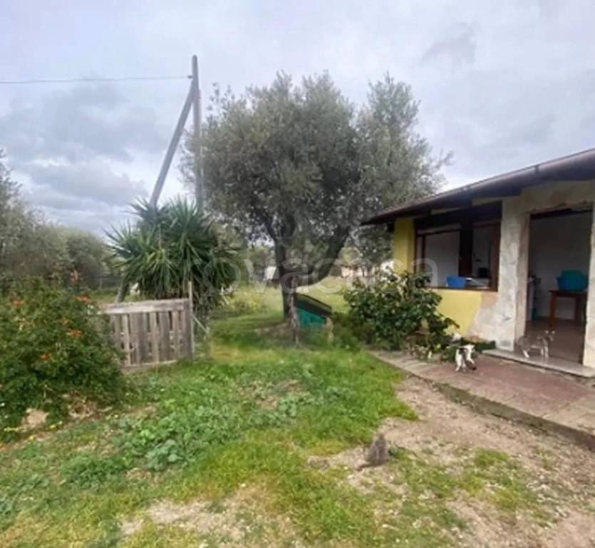 immagine annuncio 4 di 12