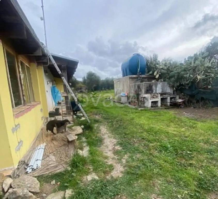 immagine annuncio 5 di 12