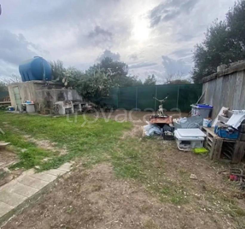 immagine annuncio 6 di 12