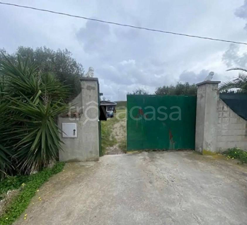 immagine annuncio 7 di 12