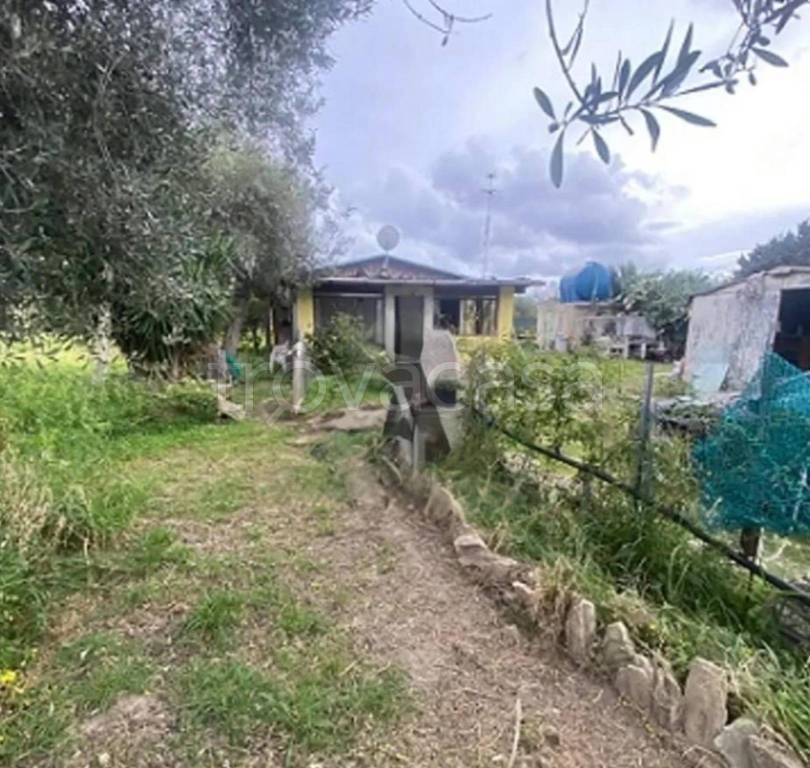 immagine annuncio 8 di 12