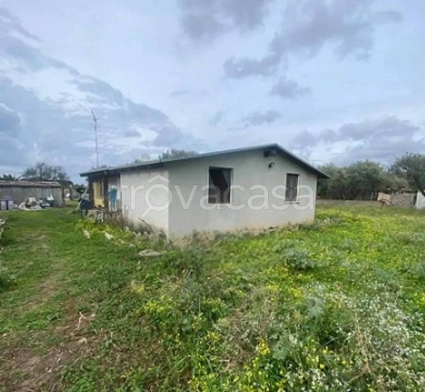 immagine annuncio 9 di 12