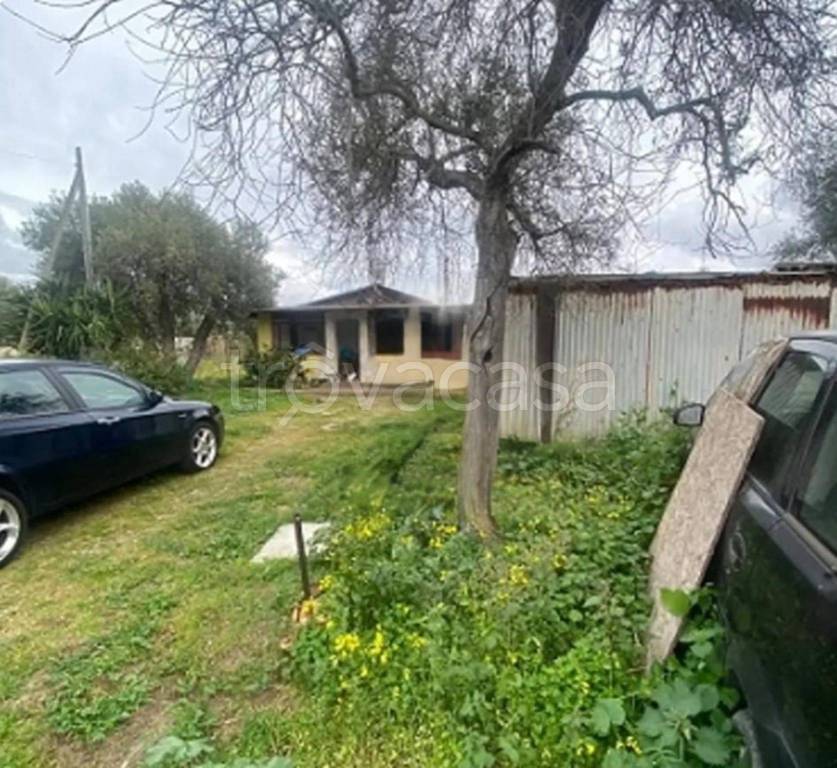 immagine annuncio 10 di 12