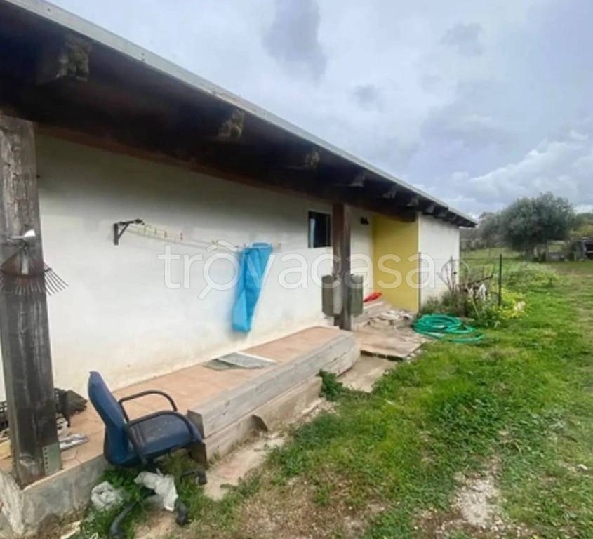 immagine annuncio 11 di 12