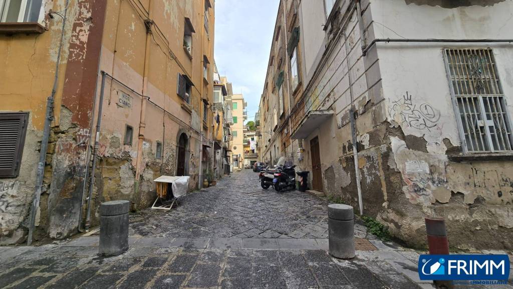 immagine annuncio 1 di 14