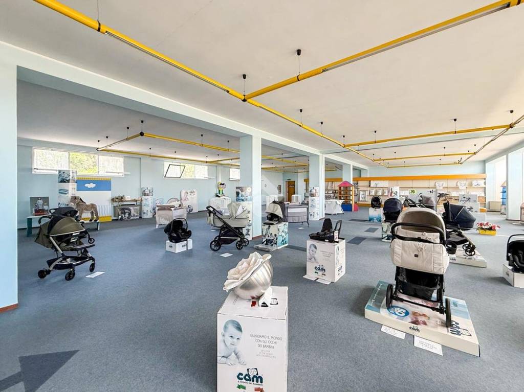 immagine annuncio 10 di 15