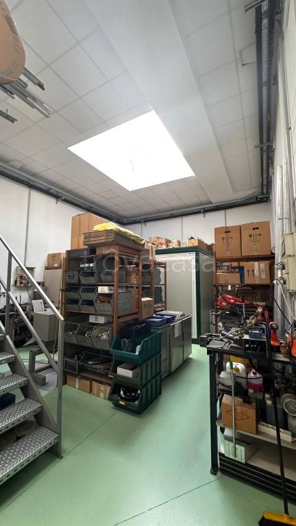 immagine annuncio 2 di 6