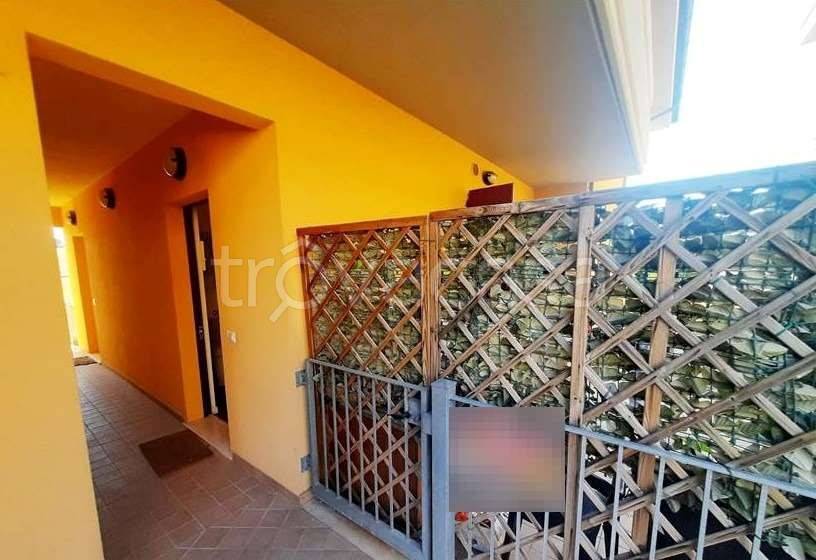 immagine annuncio 7 di 13