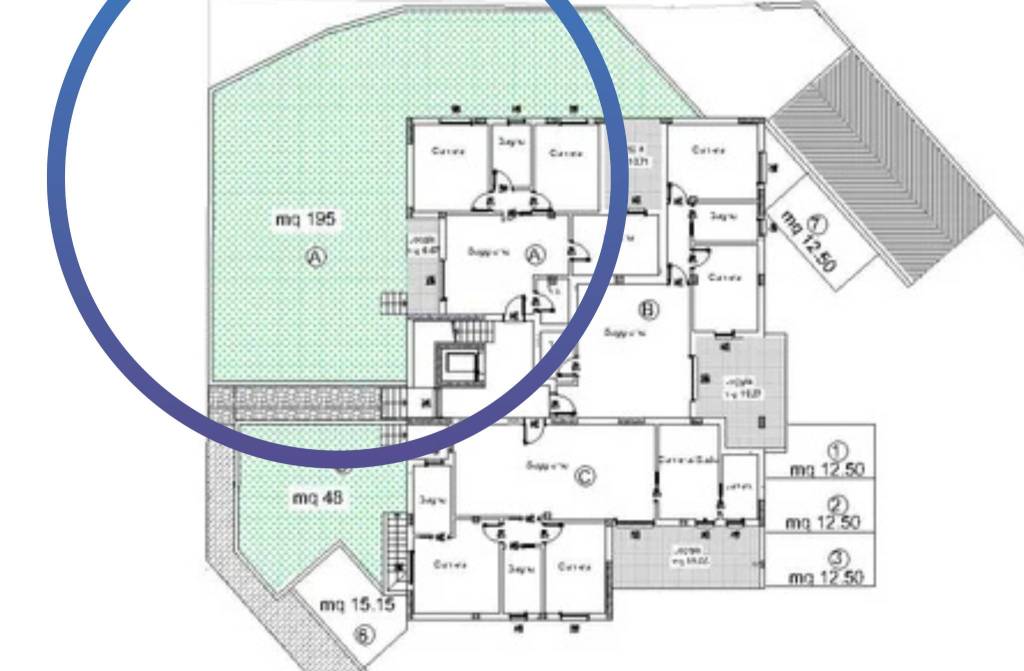 immagine annuncio 9 di 14