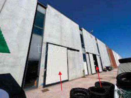 immagine annuncio 5 di 14