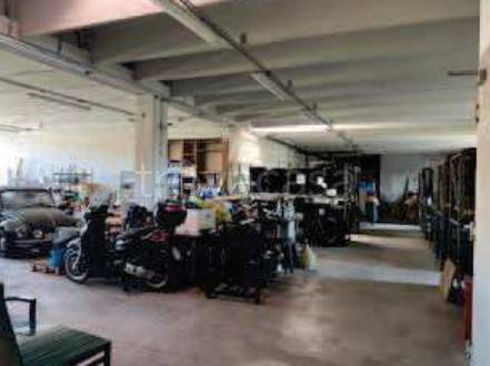 immagine annuncio 7 di 14