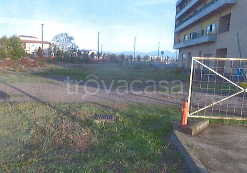 immagine annuncio 3 di 8