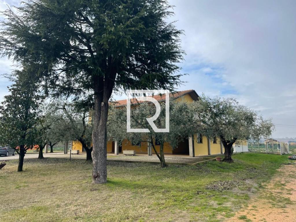 immagine annuncio 3 di 15