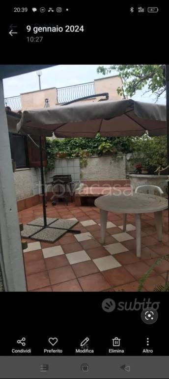 immagine annuncio 12 di 14