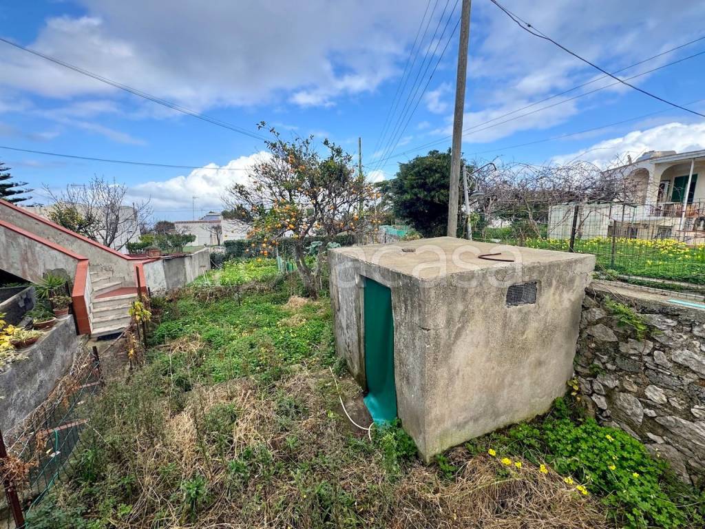 immagine annuncio 7 di 9