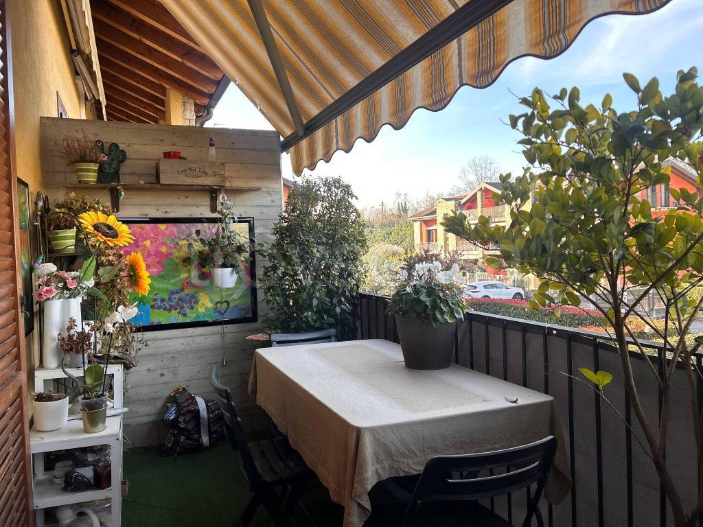 immagine annuncio 5 di 15