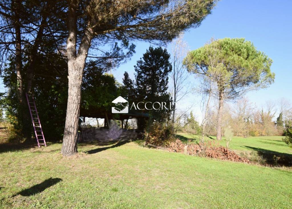 immagine annuncio 5 di 7